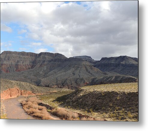 Desert Landscape Metal Print featuring the photograph Virgin River Gorge AZ 2069 by Andrew Chambers