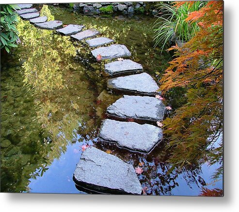 Ponds Metal Print featuring the photograph Walk On Water by Wendy McKennon
