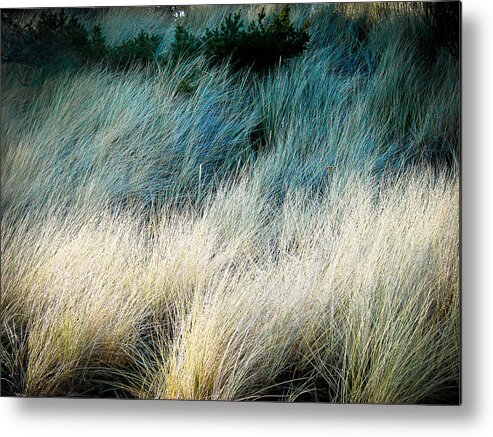 Abstract Metal Print featuring the photograph Waves of Grass by Ronda Broatch