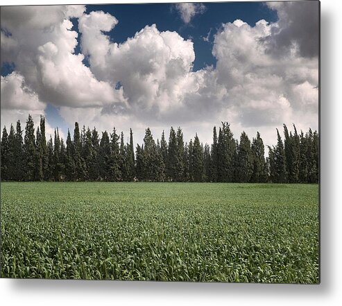 Green Fields Metal Print featuring the photograph Wheat field and clouds by Meir Ezrachi