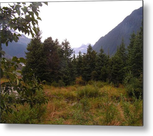 Landscape Metal Print featuring the photograph Where is my Bear. by Annika Farmer
