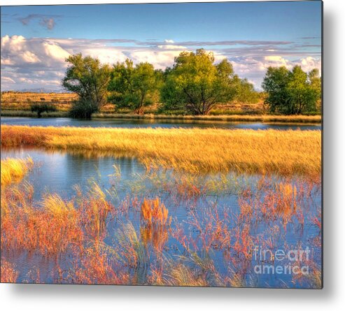 Whitewater Draw Metal Print featuring the photograph Whitewater Draw by Charlene Mitchell