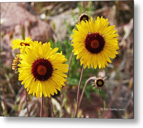 Wild Flowers Metal Print featuring the photograph Wild Flowers Above The Rim by Tom Janca