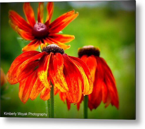 Wild Flower Metal Print featuring the photograph Wildest Bloom by Kimberly Woyak