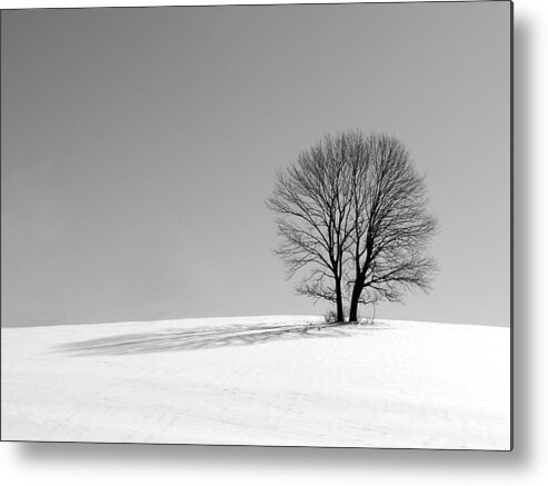 Richard Reeve Metal Print featuring the photograph Winter - Snow Trees in Mono by Richard Reeve