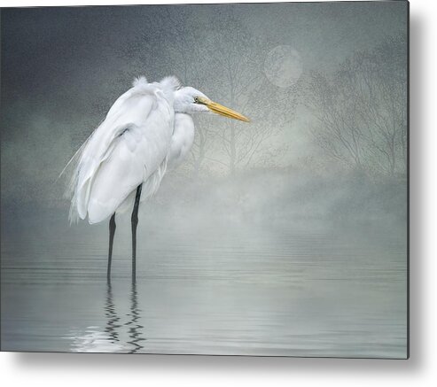 Great Egret Metal Print featuring the photograph Winter Breeze by Brian Tarr