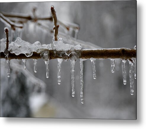 Winter Metal Print featuring the photograph Winter - Ice Drops by Richard Reeve