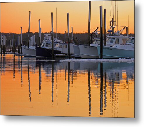 Winter Metal Print featuring the photograph Winter Reflection by Amazing Jules