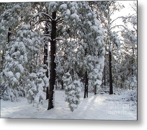 White Christmas In Arkansas Metal Print featuring the photograph Winter Wonderland by Vivian Cook