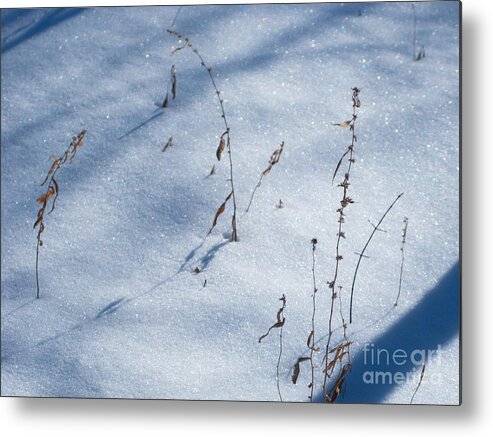 Wnter Metal Print featuring the photograph Wintry Wonderland by Ann Horn