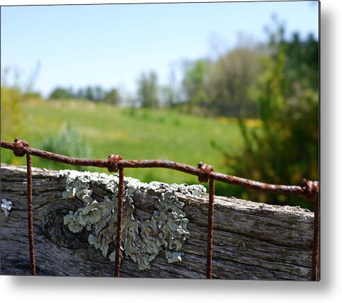 Wire Metal Print featuring the photograph Wire and Lichen by Richard Reeve