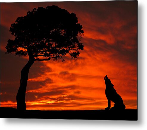 Wolf Metal Print featuring the photograph Wolf Calling For Mate Sunset Silhouette Series by David Dehner