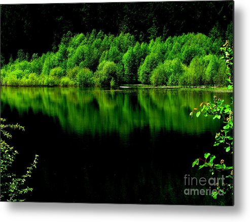 Art For The Wall...patzer Photography Metal Print featuring the photograph Work In Green by Greg Patzer