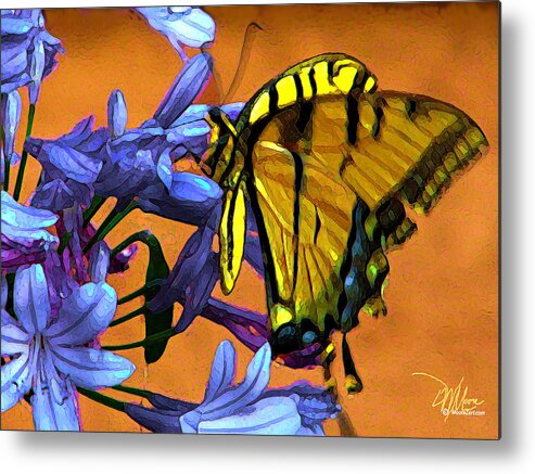 Douglas Moorezart Metal Print featuring the painting Yellow Butterfly on Agapanthus by Douglas MooreZart