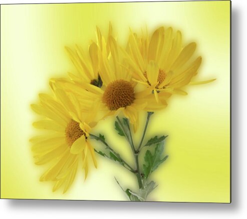Yellow Metal Print featuring the photograph Yellow by Ron Roberts