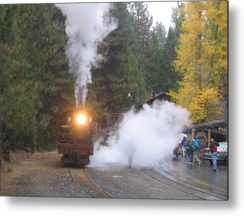 Train Metal Print featuring the photograph Yosemite Train Ride by Duwayne Williams