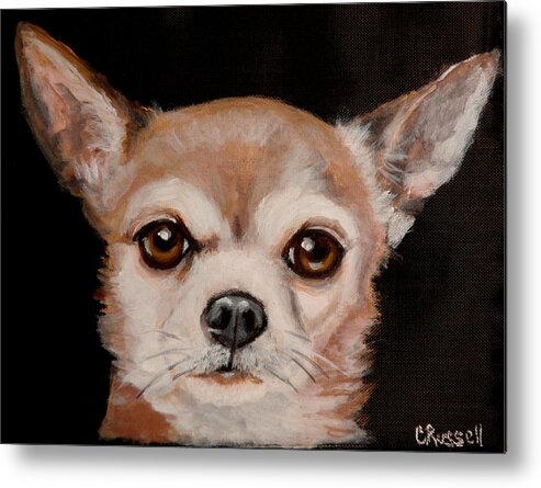Chihuahua Portrait. Metal Print featuring the painting Ziggy by Carol Russell