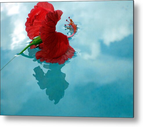 Hibiscus Metal Print featuring the photograph Hibiscus Reflections by Sarah Hornsby