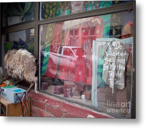 I Do Whatever The Voices In My Head Tell Me To Do...window Art Metal Print featuring the photograph Out Side Looking In by Dean Robinson