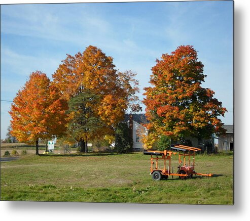 Landscape Metal Print featuring the photograph Autumn Leaves #1 by Val Oconnor