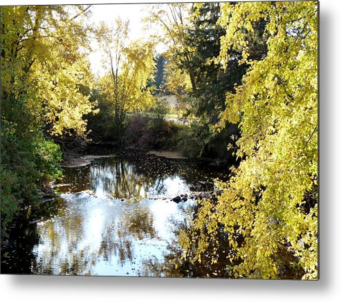 Bad River Metal Print featuring the photograph Bad River #1 by Terry Eve Tanner