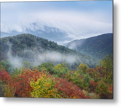 00176906 Metal Print featuring the photograph Broadleaf Forest In Fall Colors As Seen #1 by Tim Fitzharris