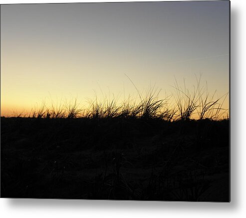 Seagrass Metal Print featuring the photograph Just A Touch #1 by Kim Galluzzo