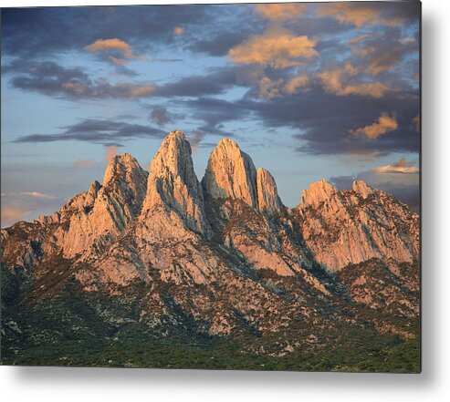 00438928 Metal Print featuring the photograph Organ Mountains Near Las Cruces New by Tim Fitzharris