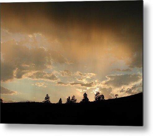  Metal Print featuring the photograph Storm Light #1 by William McCoy