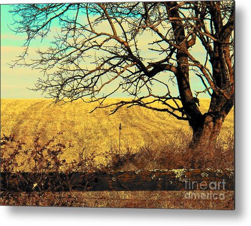 Scenic Metal Print featuring the photograph Tree By The Fence #1 by Joyce Kimble Smith