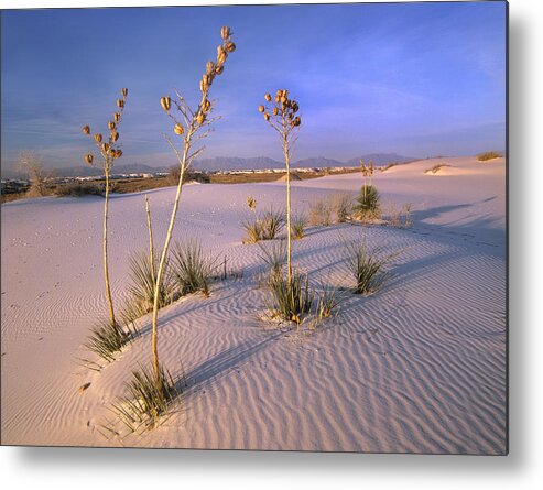 00176857 Metal Print featuring the photograph White Sands National Monument New Mexico #1 by Tim Fitzharris