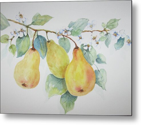 Fruit Metal Print featuring the painting 3 Pears by Marilyn Clement