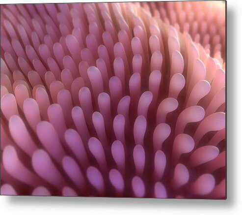 Horizontal Metal Print featuring the digital art Intestinal Villi, Artwork #4 by Sciepro