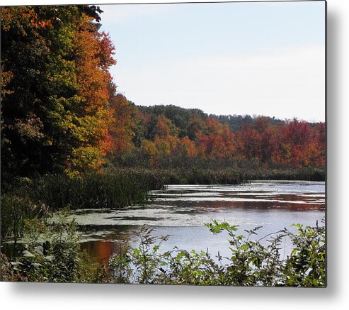 Fall Metal Print featuring the photograph A Curve Of Color by Kim Galluzzo