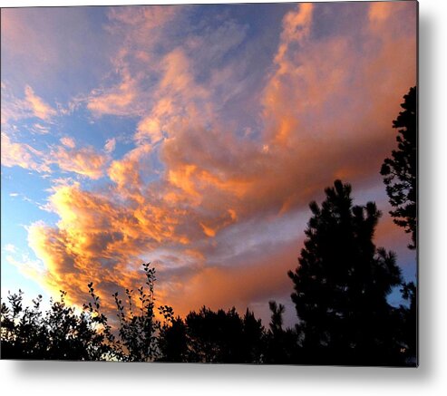 Sunset Metal Print featuring the photograph A Dramatic Summer Evening 2 by Will Borden
