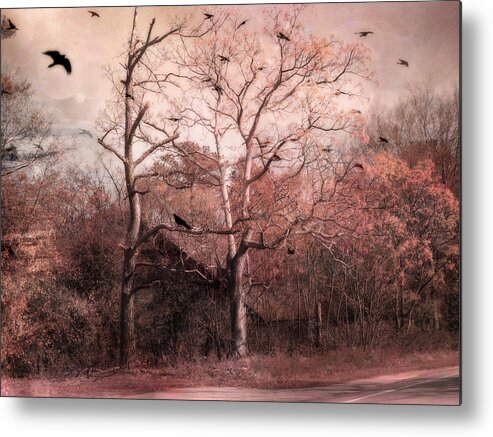 Barn Prints Metal Print featuring the photograph Abandoned Haunted Barn With Crows by Kathy Fornal
