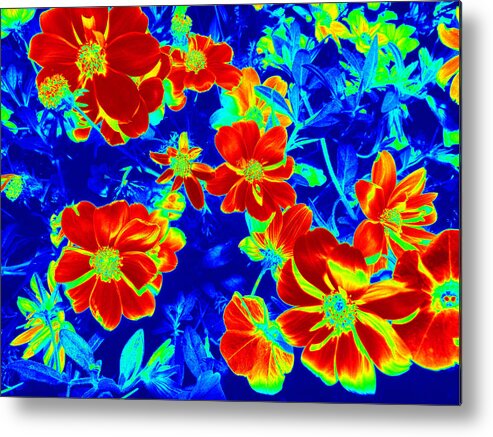 Abstract Photography Metal Print featuring the photograph Abstract Photography 3 by Kim Galluzzo