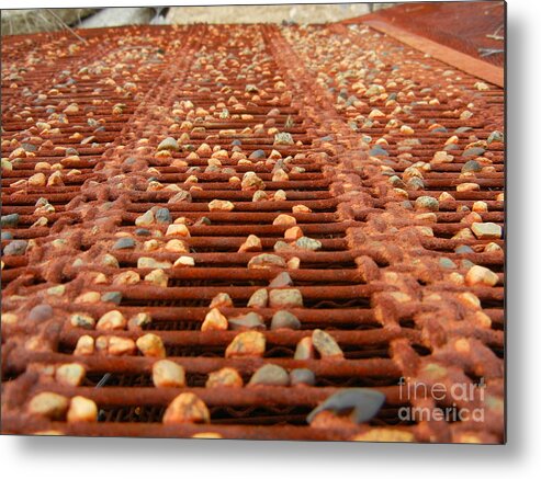 Rust Metal Print featuring the photograph Against the Grate by KD Johnson