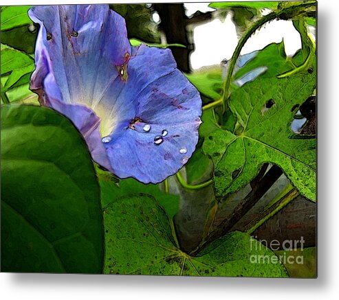 Botanical Metal Print featuring the digital art Aging Morning Glory by Debbie Portwood