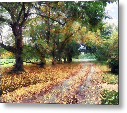 Path Metal Print featuring the photograph Along the Path Under the Trees by Susan Savad
