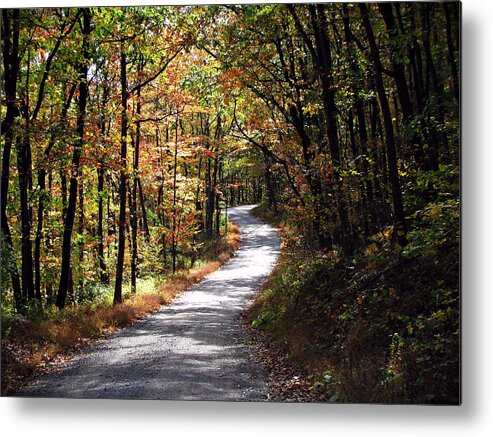 Autumn Metal Print featuring the photograph Autumn Country lane by David Dehner