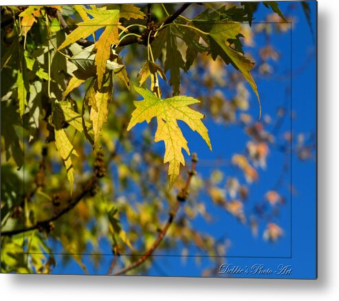  Metal Print featuring the photograph Backyard leaves by Debbie Portwood