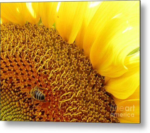 Bee Metal Print featuring the photograph Bee Happy by Amalia Suruceanu