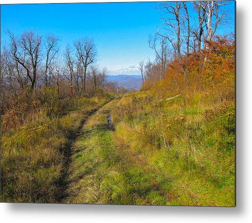 Belleayre Mtn Metal Print featuring the photograph Belleayre Trail in Late Fall by Kathryn Barry