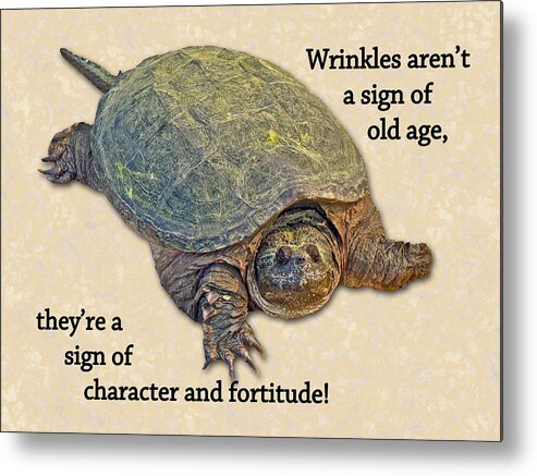 Birthday Metal Print featuring the photograph Birthday Card American Snapping Turtle by Carol Senske