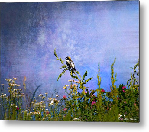 J Larry Walker Metal Print featuring the digital art Bobolink Among The Wildflowers by J Larry Walker