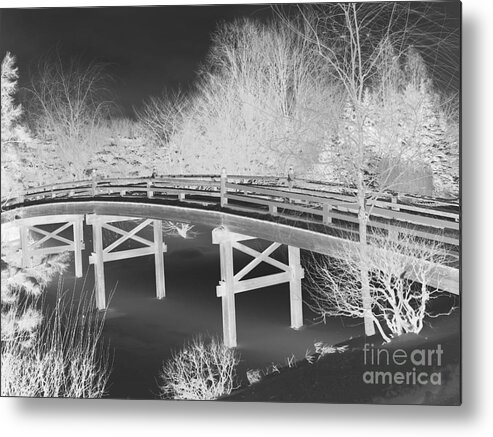 Chicago Illinois Metal Print featuring the photograph Botanical Bridge Invert by David Bearden