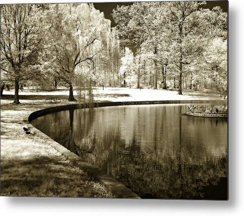 Photo Metal Print featuring the photograph Bryant Pond 2 by Alan Hausenflock