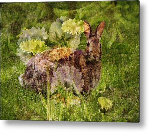 Cottontail Rabbit Art Metal Print featuring the digital art Bunny Vision by Karen Casey-Smith