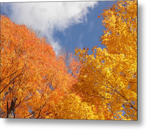 Leaves Metal Print featuring the photograph Bursts Of Fall by Kim Galluzzo